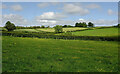 SX8361 : Farmland near Berry Pomeroy by Derek Harper