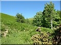 NY2725 : The slopes of Latrigg below Mallen Dodd by Adrian Taylor