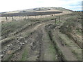 SD9713 : Path erosion and burnt moorland, Bleakedgate Moor by Christine Johnstone