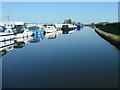 SJ7186 : The eastern end of Lymm Marina by Christine Johnstone