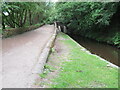 SE0613 : Huddersfield Narrow Canal near Slaithwaite by Malc McDonald