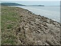 SD4076 : Saltmarsh meets salt water, Grange-over-Sands by Christine Johnstone