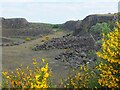 NT6218 : Disused quarry, Dunion Hill by Jim Barton