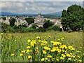 SO5074 : Ludlow viewed from the Whitcliffe Common Nature Reserve by Mat Fascione