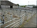 SN3040 : Newcastle Emlyn livestock market by Philip Halling