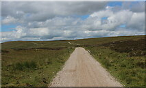  : Hornby Road approaching Salter Fell by Chris Heaton