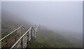 H1128 : The Cuilcagh Boardwalk by Rossographer