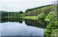  : Western shore of Loch Kennard by Trevor Littlewood