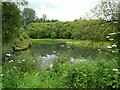 NN7201 : Pond, Doune Ponds by Richard Sutcliffe