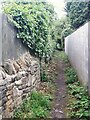 SE2235 : Path up from Springbank Close by Stephen Craven