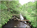 SE0613 : River Colne near Slaithwaite by Malc McDonald