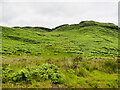 NN9748 : Bracken covered hill slope by Trevor Littlewood