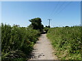 TG3625 : Weavers Way heading Southeast by David Pashley