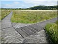 SN6862 : View of the boardwalk from the corner by Philip Halling