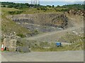 NS7279 : Rock face, Riskend Quarry by Richard Sutcliffe