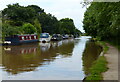 SJ6354 : Narrowboats moored along the Shropshire Union Canal by Mat Fascione