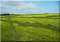 SE2015 : Footpath across a hayfield, Lepton by Humphrey Bolton