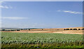  : Crop field near Collieston by JThomas