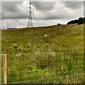  : Marshy area behind fence by Jim Smillie