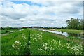 TL5088 : Beside Hundred Foot Drain by Jeff Buck