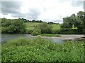 SO5916 : Lower Lydbrook - Island in the River Wye by Rob Farrow