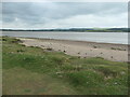 SD3378 : Sand, grass and thrift at Park Head by Christine Johnstone