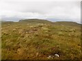 NM5939 : Beinn Bhuidhe summit by Richard Webb