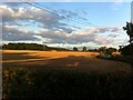 SP3189 : Evening shadows over field of stubble, Astley by A J Paxton