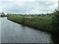 SJ5179 : The River Weaver and the Weaver Navigation by Christine Johnstone