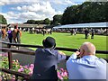 TL6161 : Trying to pick a winner - The July Course, Newmarket by Richard Humphrey