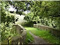 SK4939 : Swansea Bridge, Nottingham Canal by Alan Murray-Rust