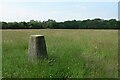 TQ5459 : Rowdow Hill Trigpoint by John P Reeves