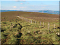 NT2433 : Fence on Hundleshope Heights by wrobison