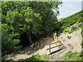 NZ0201 : Reconstructed bridleway in Arkengarthdale by Trevor Littlewood