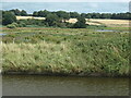  : Flooded land, west of Beckett's Wood by Christine Johnstone