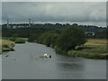 SJ5477 : Frodsham Cut, Weaver Navigation by Christine Johnstone