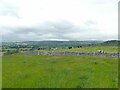 SE0064 : Cows on a historic site by Stephen Craven