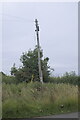 SK9018 : Isolated pole by Bob Harvey