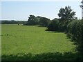 SS8779 : The Bridgend Circular Walk just south of the A48 by Laleston by eswales