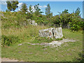 SO6313 : Remains of Foxes Bridge Colliery near Cinderford by Chris Allen