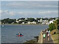 SZ0487 : Path alongside Poole Harbour, Sandbanks, near Poole by Malc McDonald