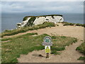 SZ0582 : Old Harry Rocks, near Swanage by Malc McDonald