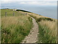 SZ0481 : South West Coast Path near Swanage by Malc McDonald