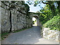 SY6971 : Path through Rufus Castle remains, Isle of Portland by Malc McDonald