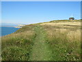 SY6768 : Coast path near Portland Bill by Malc McDonald