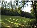 SE3137 : Beck Pasture, Gledhow valley by Stephen Craven