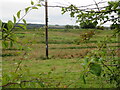 NS9259 : Rough pasture near Fauldhouse by M J Richardson