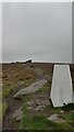 SK2883 : Ox Stones Trig Point by Ian Dodds