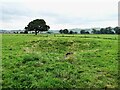 SK1356 : Old dew pond by Gratton Lane by Ian Calderwood