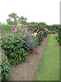 TM1857 : Border  in  the  walled  garden.  Helmingham  Hall by Martin Dawes